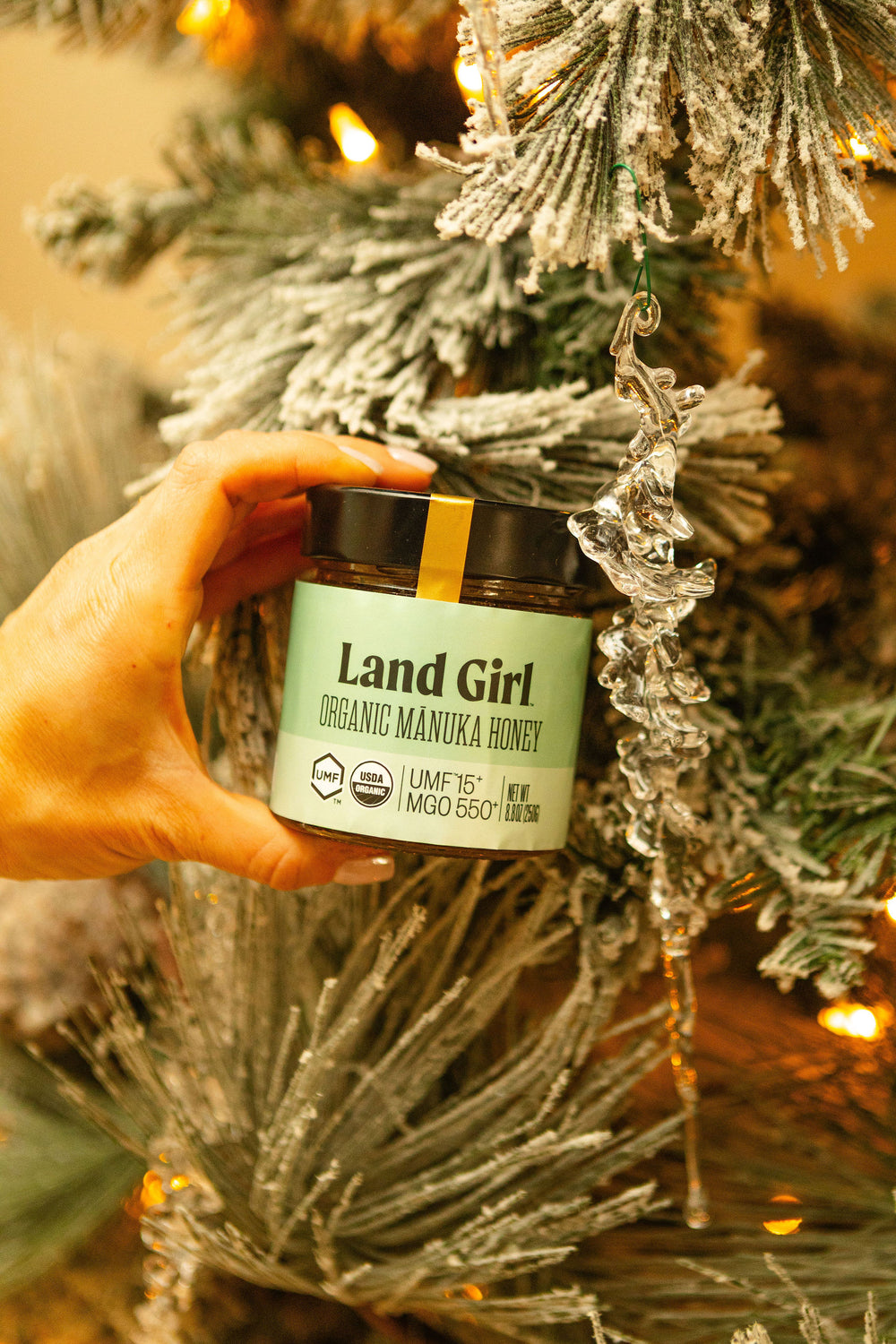 <h2>Hear from our community...</h2>