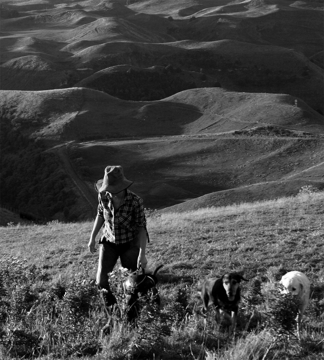 Learn about Land Girl Organic Mānuka Honey from New Zealand