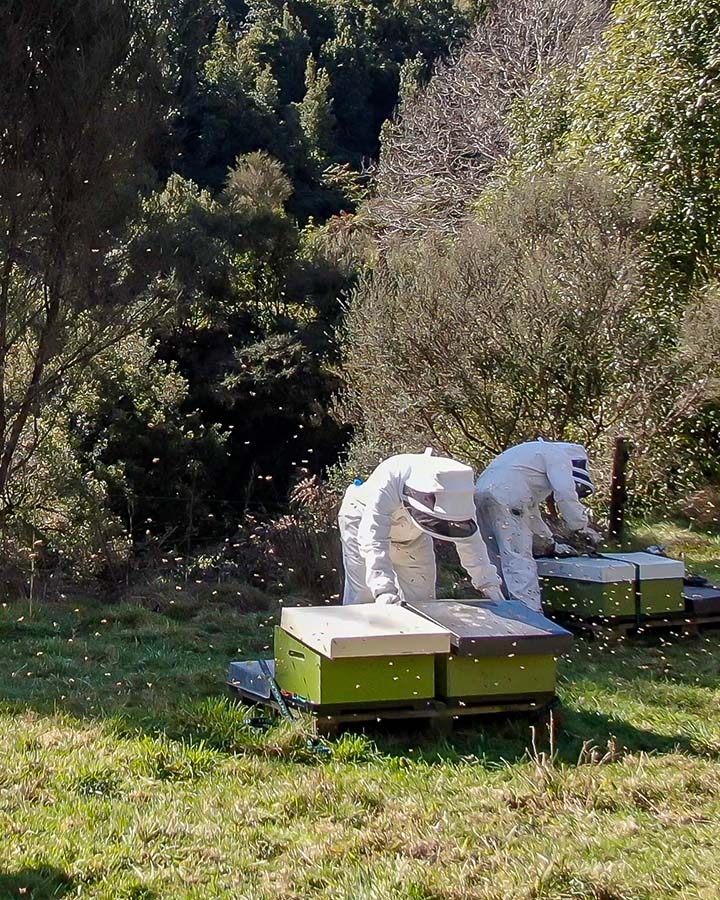At Land Girl, our organic honey is ethically harvested.