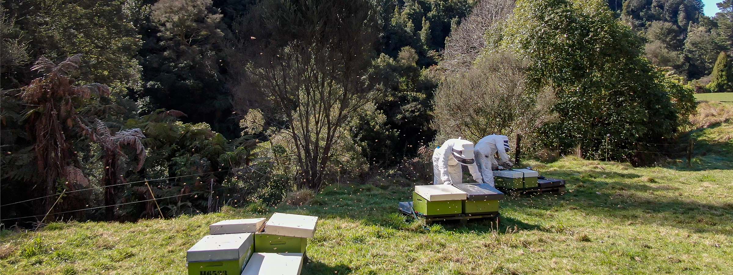 At Land Girl, our organic honey is ethically harvested.