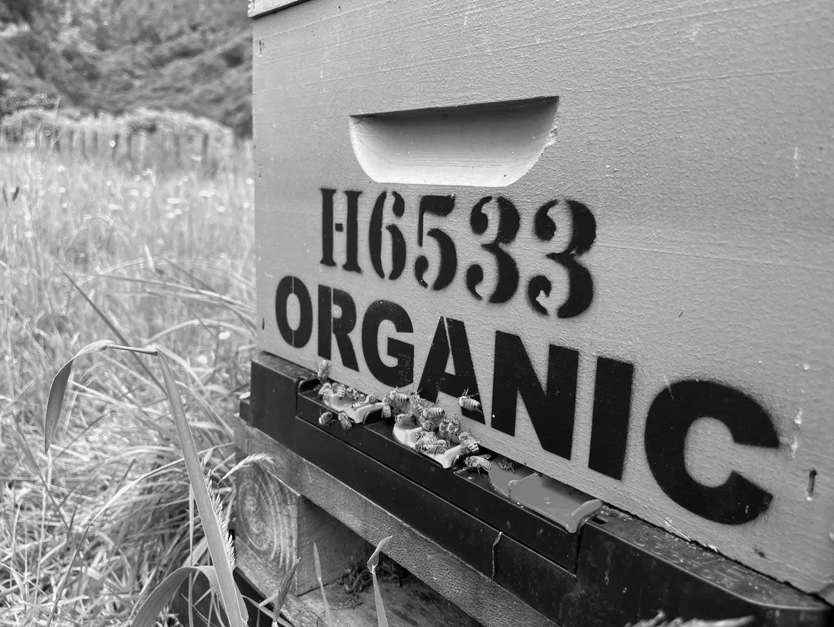 A close-up black and white photo of a wooden box with the text 'H6533 ORGANIC' printed on the side, set outdoors in a grassy field.
